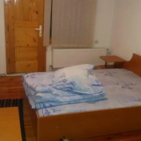 Pensiunea Miesca Guest house
