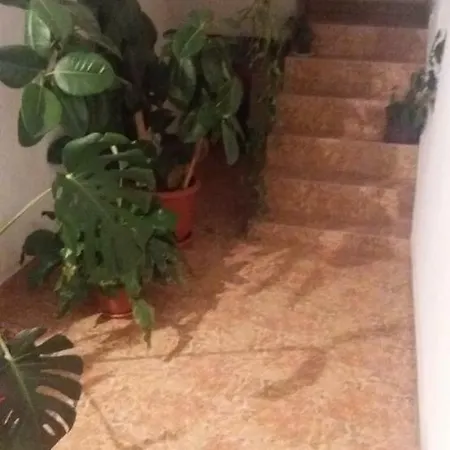 Guest house Pensiunea Miesca