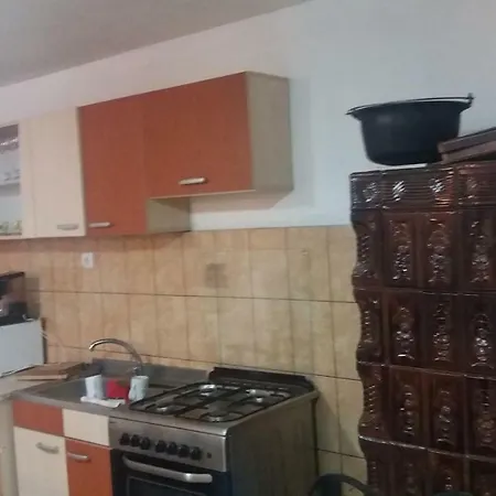 Pensiunea Miesca בית הארחה *