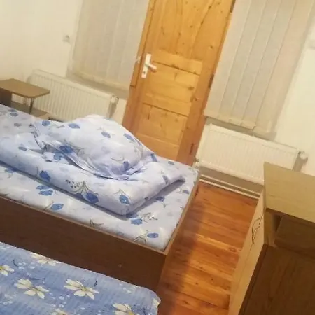Pensiunea Miesca Guest house