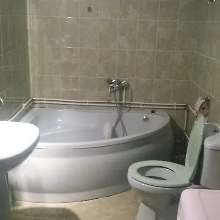 Pensiunea Miesca Guest house Matisesti