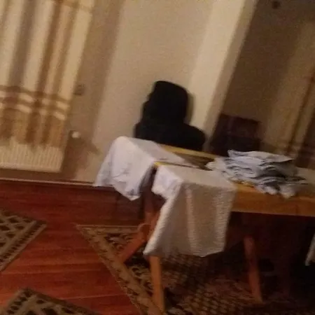 Pensiunea Miesca Matisesti