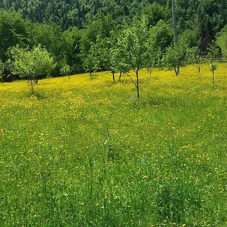 Pensiunea Miesca